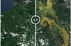 post-image