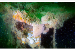 post-image