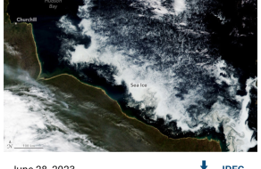 post-image