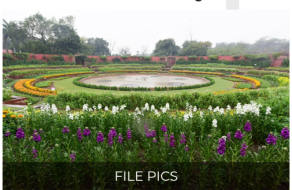 post-image