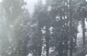 post-image